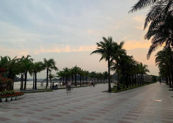 Hotel Mimosa 3*