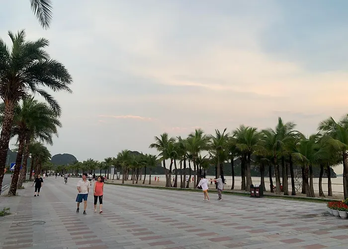 Mimosa Hotel Hạ Long