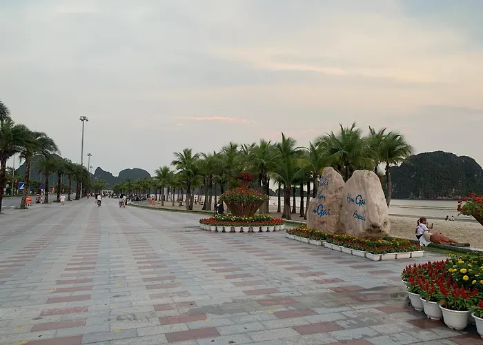 Mimosa Hotel Hạ Long