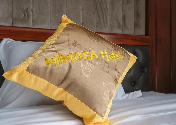 Mimosa 3* Hạ Long